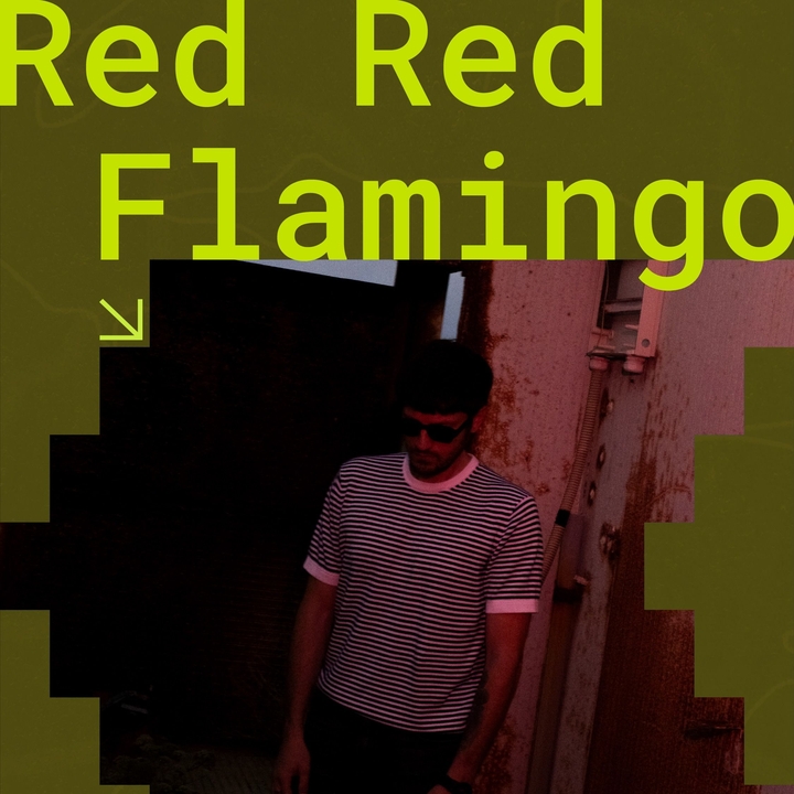 Red Red Flamingo