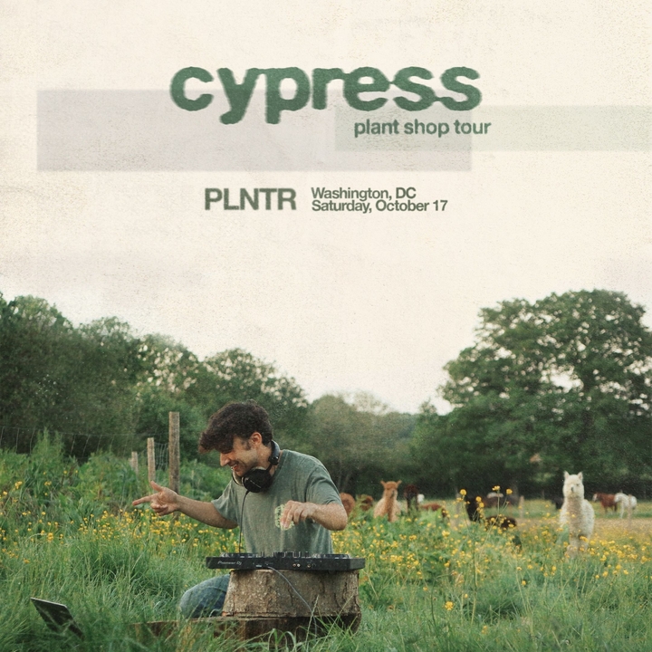 cypress