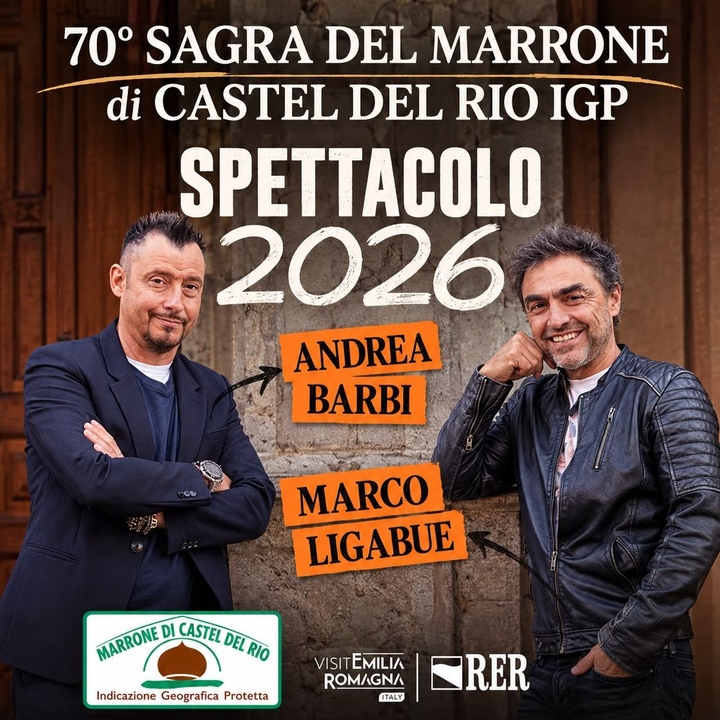 Marco Ligabue