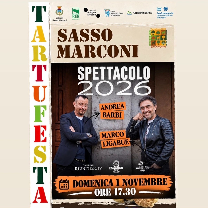 Marco Ligabue
