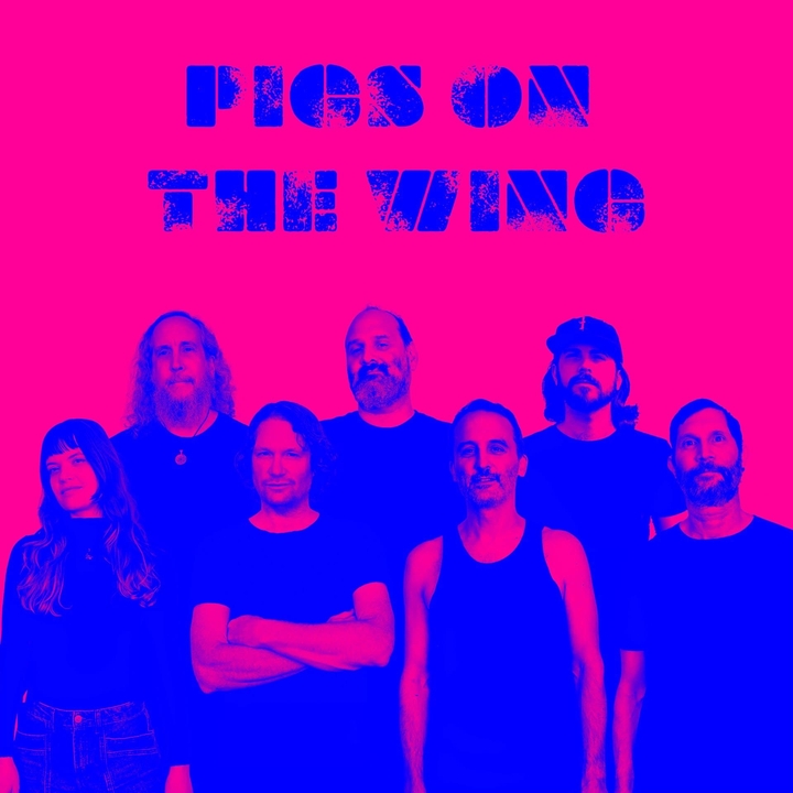 Pigs on the Wing - A tribute to Pink Floyd