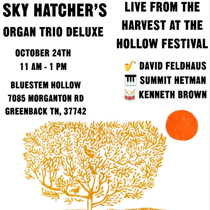 Sky Hatcher & The Organ Trio Deluxe