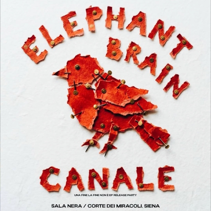 Elephant Brain