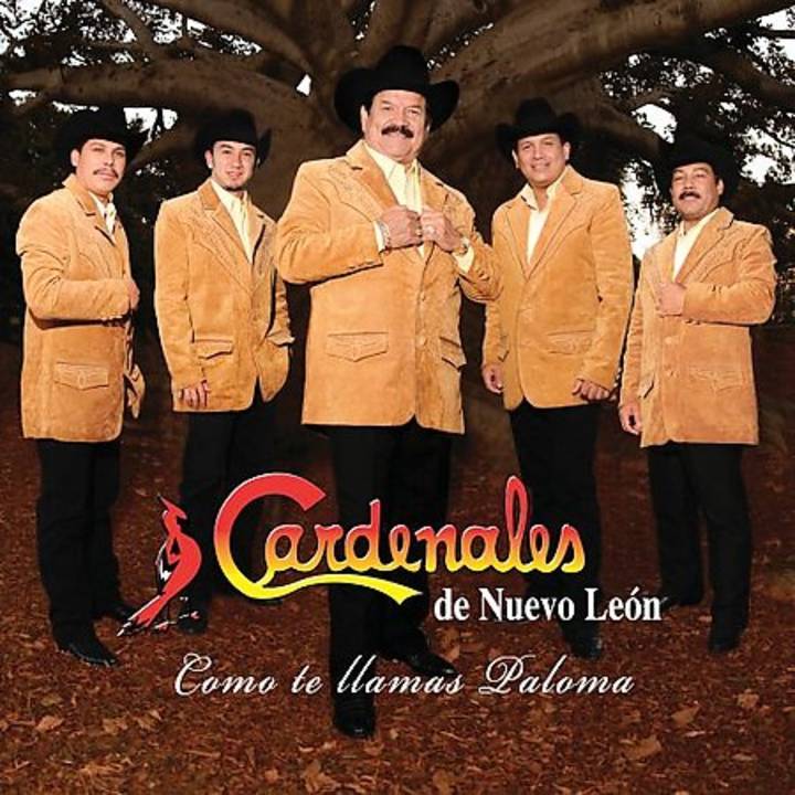 Cardenales De Nuevo Leon
