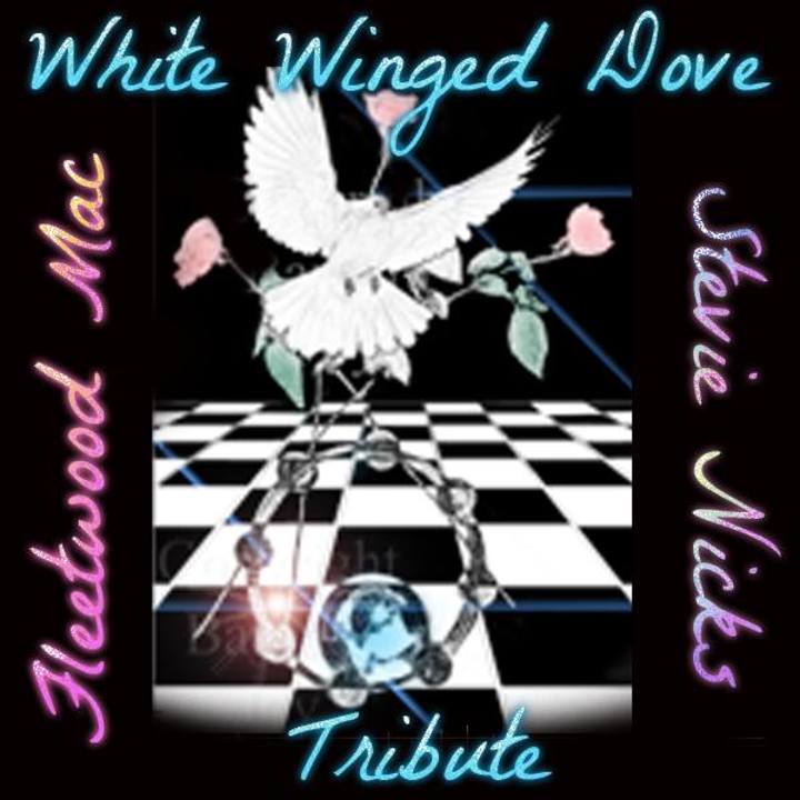 Bandsintown White Winged DoveA Stevie Nicks & Fleetwood Mac Tribute