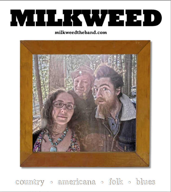 Milkweed