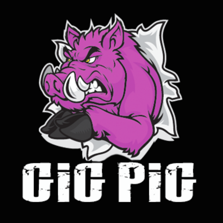 Rebel FM Gig Pig