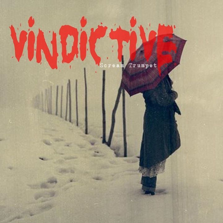 Vindictive