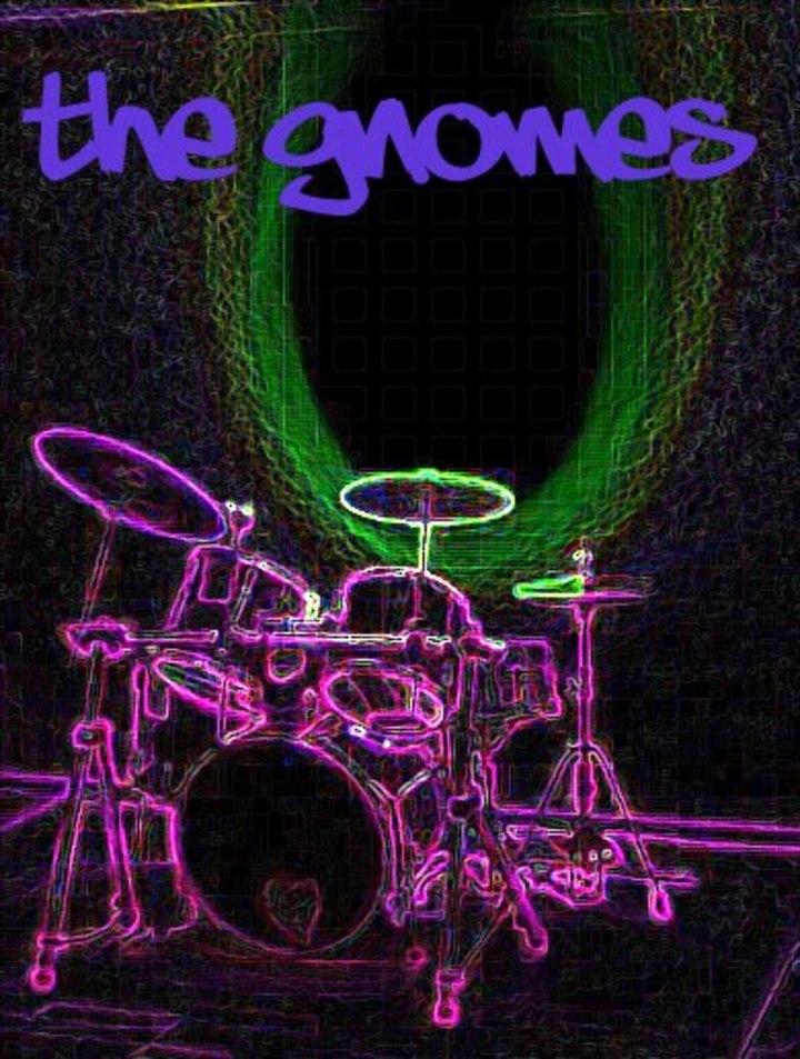 The Gnomes