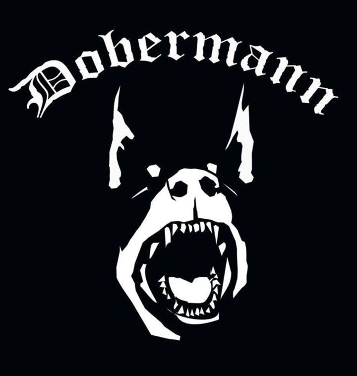 Dobermann