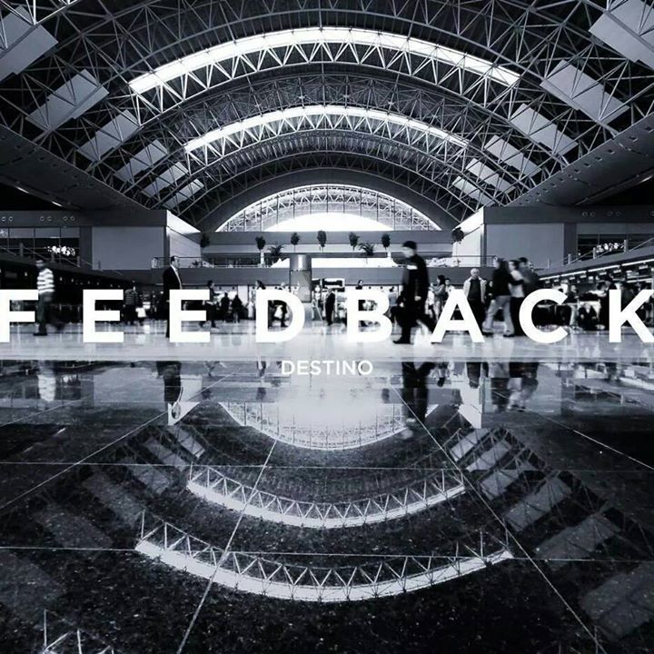 Feedback