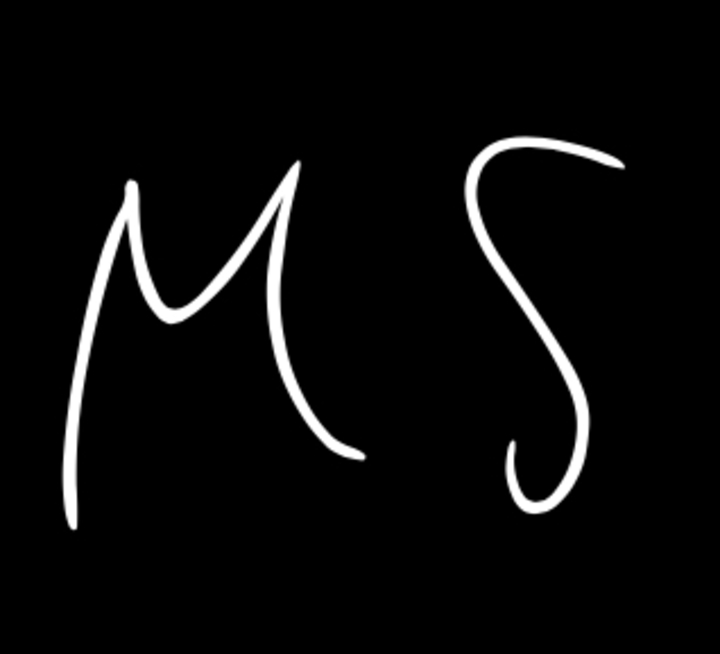 Mister S