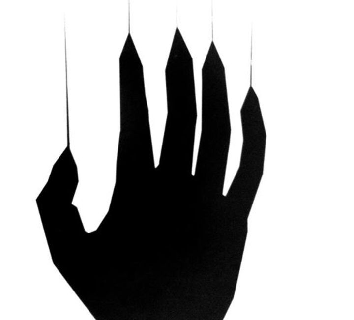 Kite