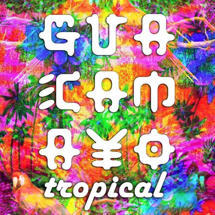 Guacamayo Tropical