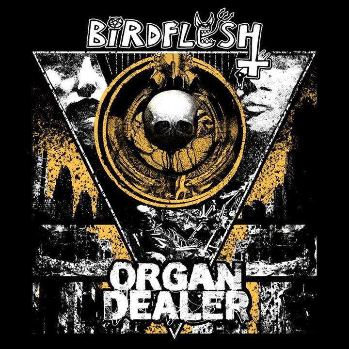 Organ Dealer