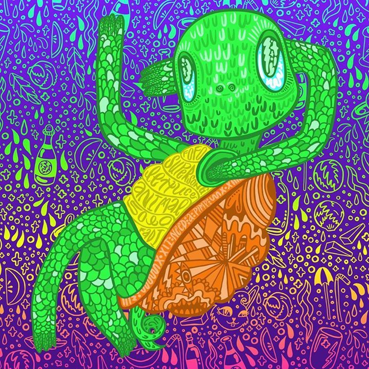 Trippy Turtle