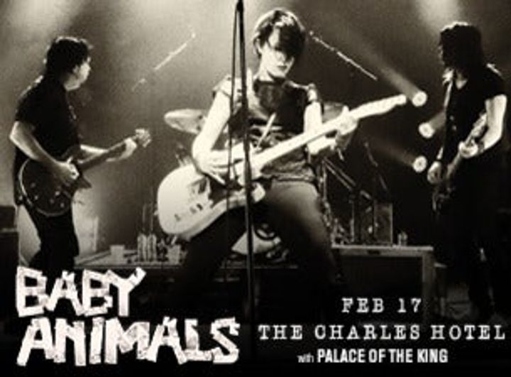 Baby Animals