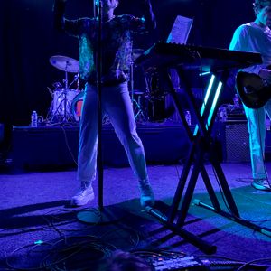 Electric Guest at Dallas, TX in Trees 2020