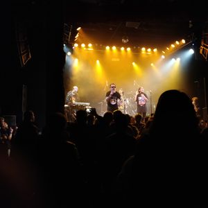 SIAMES at Dallas, TX in Trees 2020