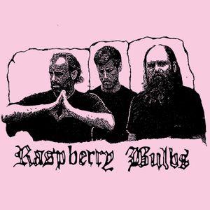 Entradas, fechas de la gira y Concierto de Raspberry Bulbs
