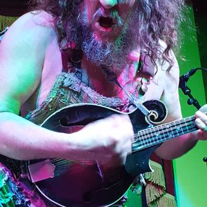 hayseed dixie uk tour 2022