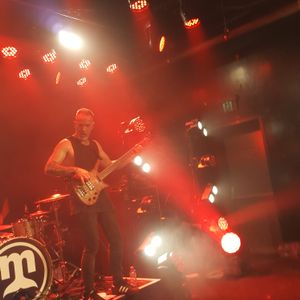 Mammal at Saint Kilda, Australia in Hotel Esplanade 2020