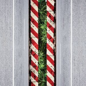 The Electorate Tickets, Tour Dates and Concerts