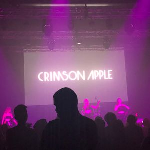 Crimson Apple at Los Angeles, CA in LIVE HOUSE 2020