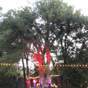Trout Steak Revival at Lyons, CO in The Farmette 2020