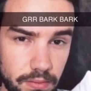 Liam Payne at Los Angeles, CA in Live Stream 2020