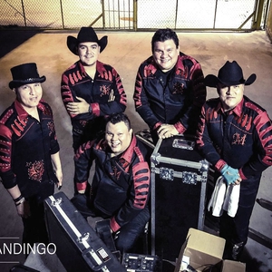 Grupo Mandingo Tickets, Tour Dates and Concerts