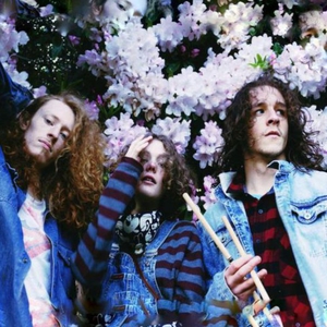 Flower Field Folly @ Bergy Bandroom