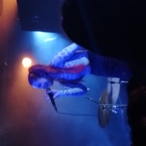 poutyface at Sacramento, CA in Ace Of Spades 2022