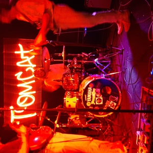 Peach Fur at Fortitude Valley, Australia in Tomcat 2022
