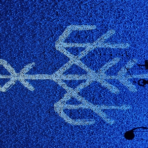 2022 Tickets & Event Schedule for Durham Performing Arts Center