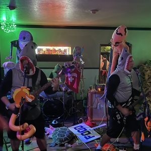 Shark In The Water at Livermore, CA in Polomoni's Bar & Lounge 2022