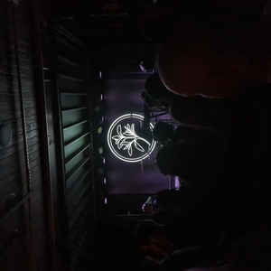 Cold Cave at Dallas, TX in Amplified Live 2022