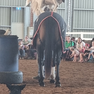 Tom Curtain at Burnewang, Australia in Elmore Equestrian Park 2023