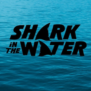 Shark In The Water