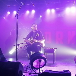 The Kilkennys at Lelystad, Netherlands in Corneel 2023