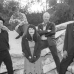 The Knitters Tickets, Tour Dates and Concerts