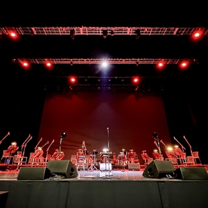 Björk performing at a concert in 2025