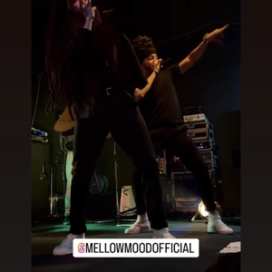 Mellow Mood at Genoa, Italy in CSOA Pinelli 2023
