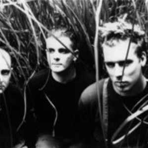 The Wolfgang Press Tickets, Tour Dates and Concert