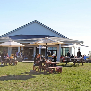 Joseph R. Monasterial @ Windridge Vineyards