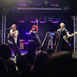 Save Ferris at Chicago, IL in Cubby Bear 2024