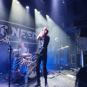 Pet Needs at Haarlem, Netherlands in Patronaat 2024