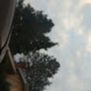 VIOLENT VIRA Concerts & Live Tour Dates: 2026-2027 Tickets | Bandsintown