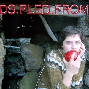 Rachel Williams Tickets, Tour Dates and Concerts