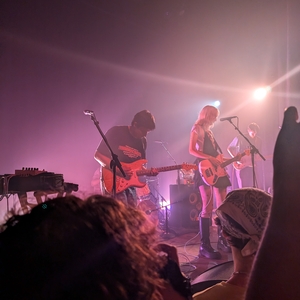 feeble little horse at Chicago, IL in Lincoln Hall 2024